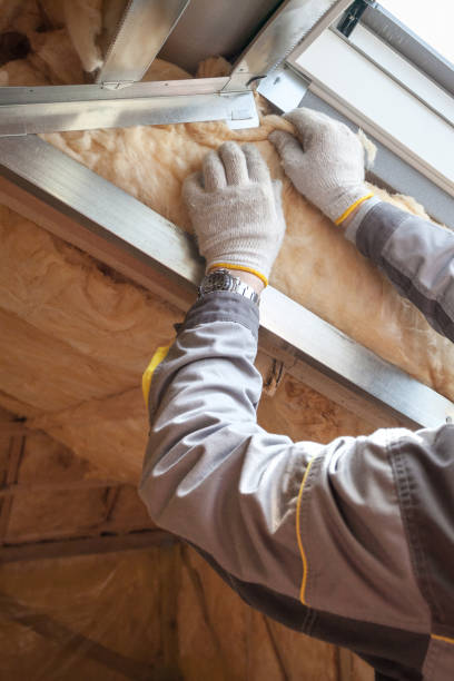 Best Wall Insulation Contractor  in Gallup, NM